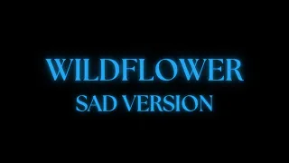 Billie Eilish WILDFLOWER Sad Version Lyrics 4K Requested 