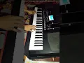Download Lagu Duda araban - test korg Pa 300