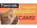 Craigslist Adoption Scams