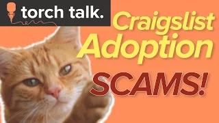 Craigslist Adoption Scams