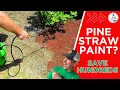 SAVING Make Pine Straw Mulch Look New Again Long Lasting Easy To Apply Spray