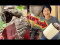 How to replace Craftsman Shop Vacuum Filter