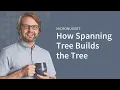 How Spanning Tree Builds the Tree