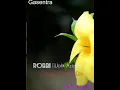 Download Lagu ROBBI (Wafik Azizah)
