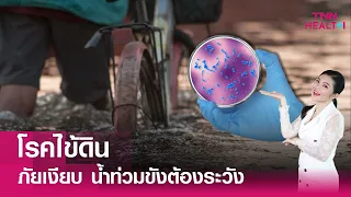 โรคไข้ดินเกิดจากอะไร และมีวิธีติดเชื้ออย่างไรบ้าง
