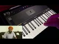 Soni Pabla, Ikky - She's The One | Piano Cover by Ravneet Singh | Astonishing Keys