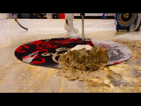 Download MP3 From Rags to Riches: Restoring a Round Rug Engulfed in Trash and Muddy Misery