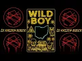 Download Lagu MGK - WILD BOY REMIX - DJ Kaizen Roger
