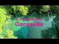 Florida Travel 5 Things to Do in Gainesville