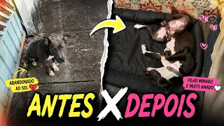 LEVANDO O PIT PIT EMBORA PRO LAR DELE 🏡❤️