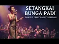 Lagu Setangkai Bunga Padi - Santa hoky | dangdut orchestra lirik version | Langit dangdut