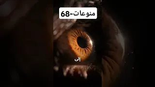 هل ماذا تشعر المرأة عند دخول القضيب فيها قضيب مهبل علم دكتور جماع ليلة دخلة نساء 