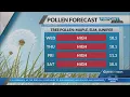 Allergies suddenly bad Charlotte pollen levels kick off spring allergy season at high reading