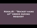 NodeJS Socket hang up error during request