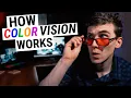 How COLOR VISION Works Types of Color Blindness Genetics Disease