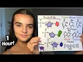 ASMR Teaching You Genetics DNA Structure Transcription Translation Genetics of Disease