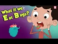 Download Lagu What If We Eat Bugs? | EATING BUGS | Dr Binocs Show | Peekaboo Kidz