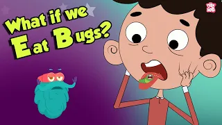 Download What If We Eat Bugs | EATING BUGS | Dr Binocs Show | Peekaboo Kidz MP3