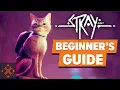 Stray A Beginner s Guide