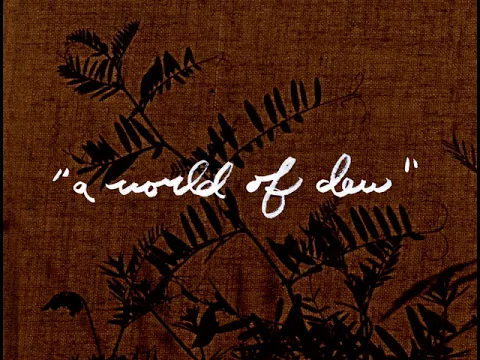 A World of Dew (16mm, trailer)