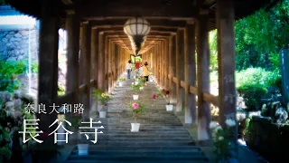【Trip to Nara】長谷寺｜Hase-dera Temple｜4K｜奈良大和路｜牡丹｜