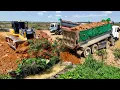 Download Lagu Great Start the Project! This Big LowLand Has Been Deleted for Install A Way Uses Dozer Join​ Truck
