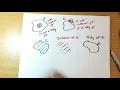 interior boundary bounded part 1