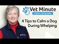 How to Calm a Dog During Whelping 4 Essential Tips for First-Time Moms