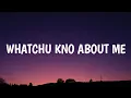 Lagu GloRilla - WHATCHU KNO ABOUT ME (Lyrics) Ft. Sexyy Red | Bitch I'm from Memphis what you know about