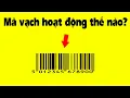 Download Lagu Mã vạch hoạt động thế nào? Cả bầu trời kiến thức sau cái này