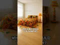 Which bed would you sleep in?