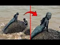 Mermaids Caught on Camera These Mermaids Shocked Scientists with Unexplained Behavior