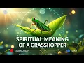 Spiritual Meaning of a Grasshopper Luck Leap of Faith Transformation