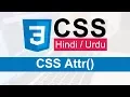 CSS Attr function Tutorial in Hindi Urdu