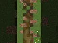 How to Improve your Minecraft Landscapes - Paths