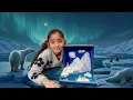 HOW TO MAKE AN EASY SHOE BOX ARCTIC ANIMAL HABITAT DIORAMA PROJECT FOR SCHOOL
