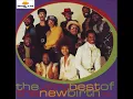 New Birth - Wildflower