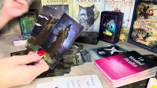 VIRGO ♍️ LA VERDAD SALE A LA LUZ 💡 ALGUIEN TE BUSCA PARA ESTO‼️ÉXITO 💰#virgo #tarot 