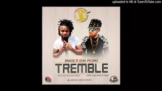 xnade tremble ft don pedro official audio 2017 