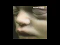 Download Lagu Rammstein - Zwitter