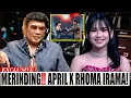 Lagu ASLI MERINDING! 😱 Duet Abad Ini April x Rhoma Irama di Konser 8 Dekade, Cirebon Bakal Lumpuh!