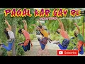 Lagu Pagal Kar Gayi  Re | Mast Jawani  Teri Mujhko | Dance Cover By Suwi'$ Dance Group