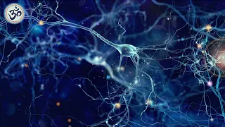 Increase Brain Power Enhance Intelligence IQ To Improve Binaural Beats Improve Memory 