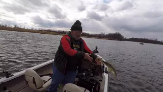 033018 Lower Wolf River 2 Walleyes TZerb on lake-link