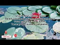 Download Lagu Istighfar Cinta -Khutbus Shaka- Lagu cinta religi viral