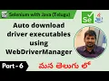 P6 - Auto Download Driver Executables using WebDriverManager Selenium Java