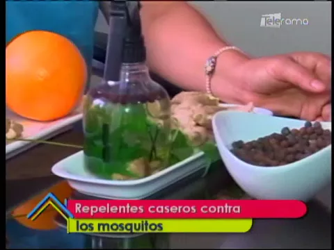 Repelentes caseros contra los mosquitos