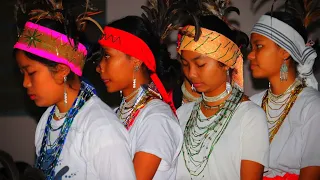 ding ding apade a dance presented by st xaviers tura