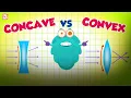 Why Does Light Bend Concave Convex Lenses The Dr Binocs Show Peekaboo Kidz