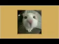 Taihe music - Nae Nae Ni song (speed up)